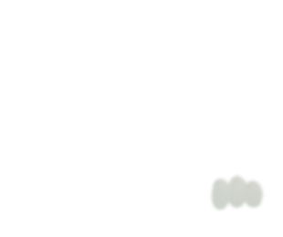 books-2010-piep-mauw-left.gif